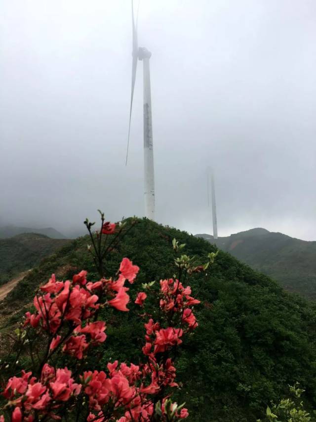 赤橙黄绿青蓝紫 ▏多彩十八排,你最中意哪个"她"?