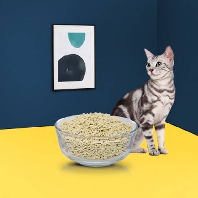 明星推荐-福丸猫砂用心追求极致,只为呵护喵主