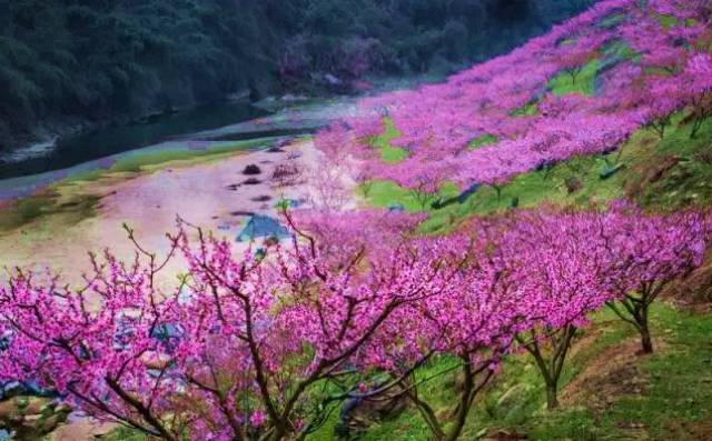 英山桃花冲