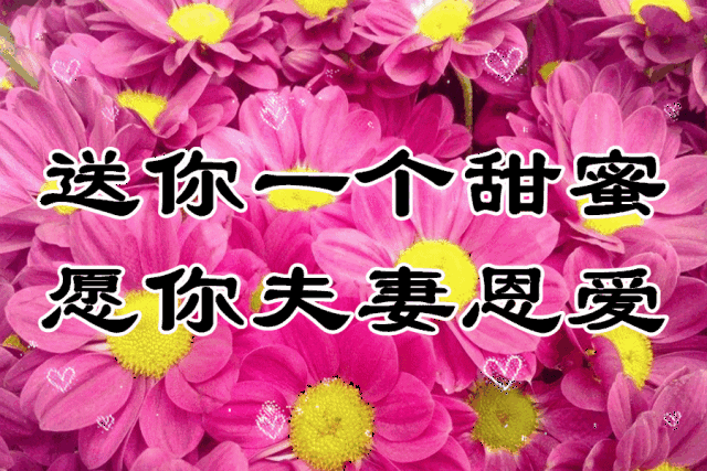 早上好,一首《相逢是首歌》送给你,愿你平安喜乐,事事