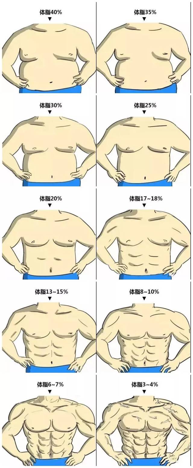 请广大胖友们对号入座 ↓↓↓ 男士体脂率和体型对照图 就更直观了 ▼