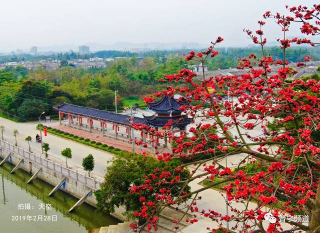 图|拍摄于普宁市南溪镇南溪村