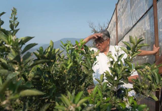 褚时健,走了,我们来重新认识褚时健