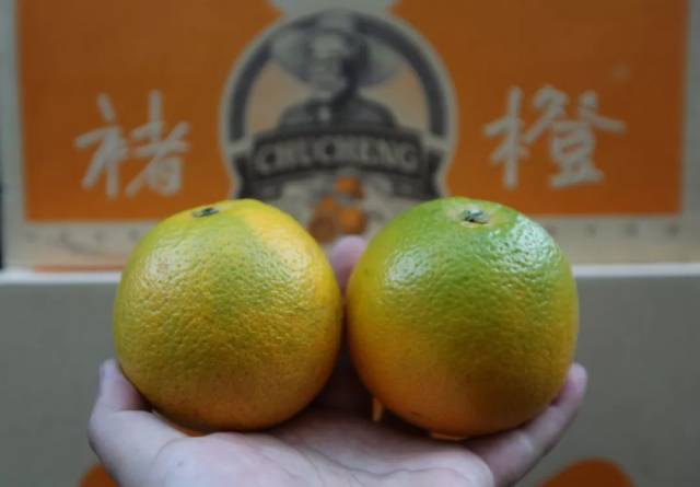 褚时健,走了,我们来重新认识褚时健