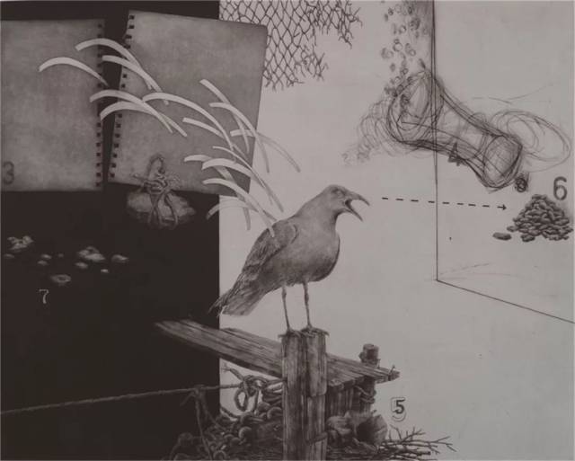 杨越 寓言1 75×59cm 版画 2010年