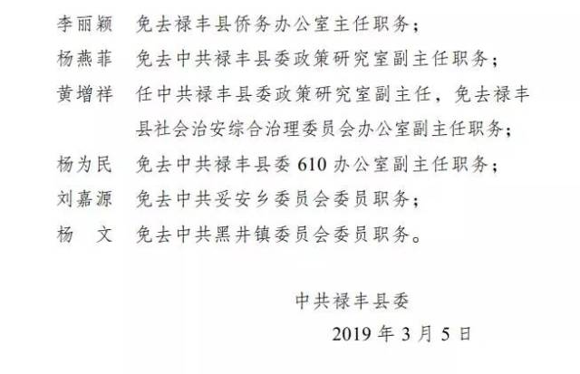 来源:禄丰县人民政府网站