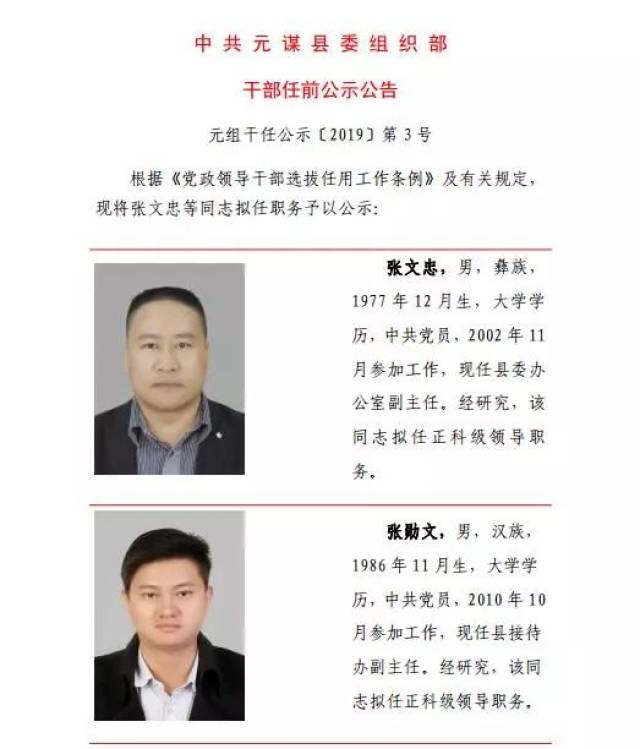 南华,武定,姚安,元谋,禄丰一批干部任前公示,人事任免通知