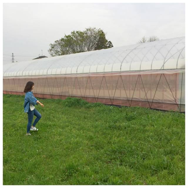 农村土地流转对现代农业发展的影响及对策建议