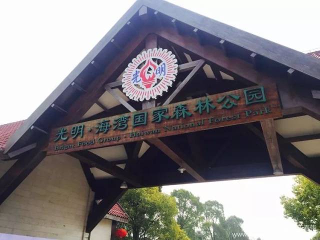 恰巧友人相邀去(都在原五四农场内的)滨海古园祭