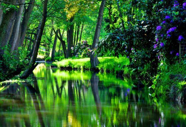 经典音乐|班得瑞《山林小溪》,在空灵缥缈的音乐世界聆听自然