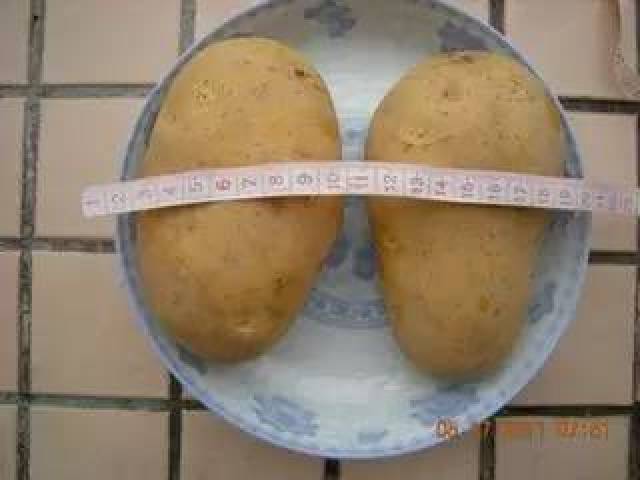 它能燃烧脂肪,每晚一小杯轻松帮你刮掉小肚子,立马瘦10斤!