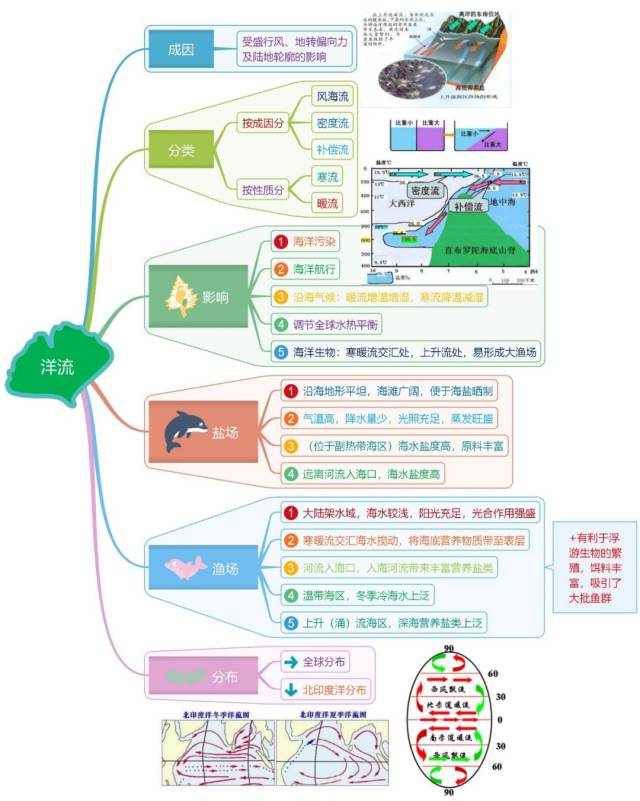 高中地理知识点思维导图:大规模海水运动