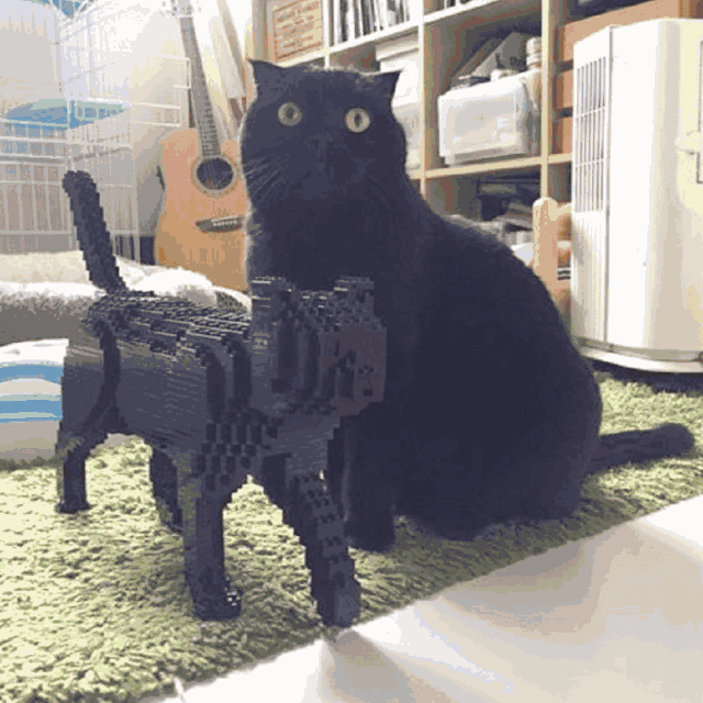 抢不到猫爪杯?这篇保命守则一定要收藏!