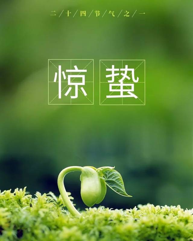 惊蛰|春生夏长,让拉拉裤为宝宝昼夜护航