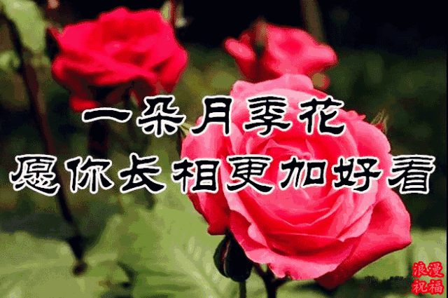 三八妇女节|祝女性朋友幸福快乐!_手机搜狐网
