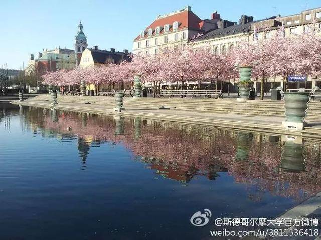 △图源斯德哥尔摩大学官方微博