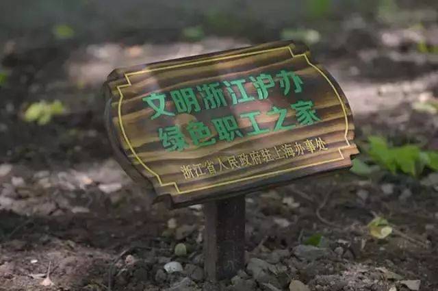 最全的"3.12植树节"树木认养指南,手动保存