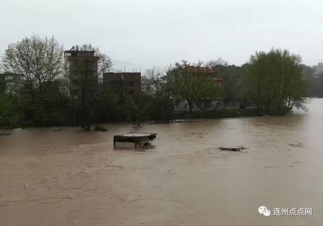 连州湟川河水暴涨,大云洲公园被严禁进入!