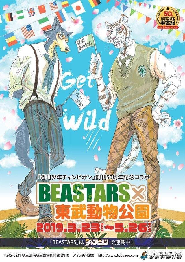 beastars动画,beastars,狼爱上兔子