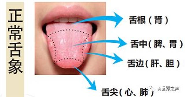 正常舌象与望舌的意义_手机搜狐网