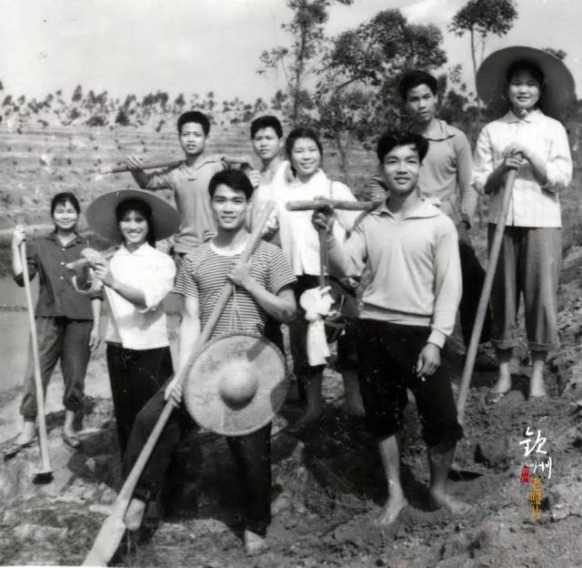 浦北县张黄公社二中坚持教育与三大革命运动相结合开门办学,在革命女