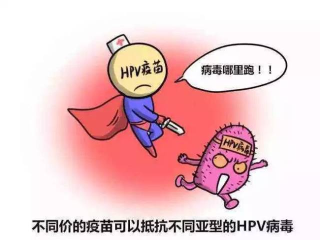 可以打hpv疫苗吗 动物实验没有发现