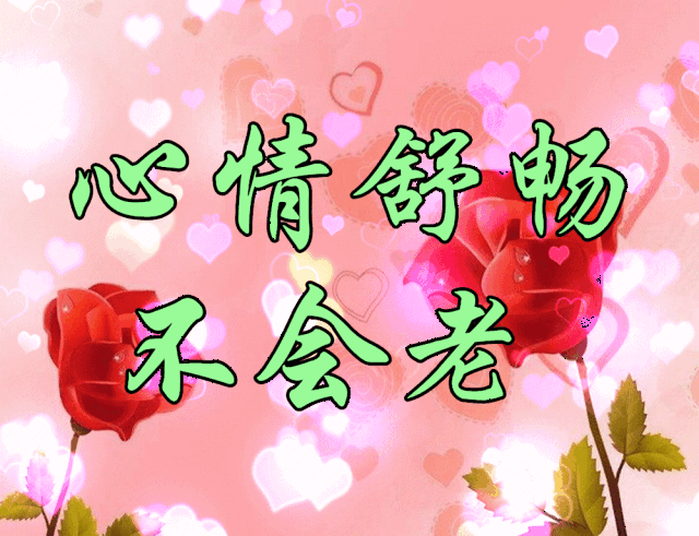 三八妇女节,致天下所有女人_手机搜狐网