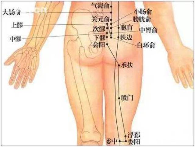 打通臀部的经络是医治腰腿痛、妇科病、
