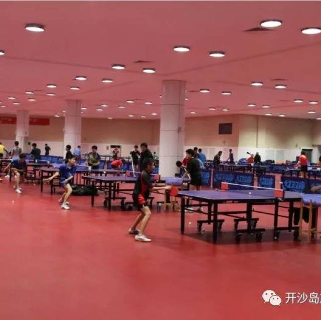 乒乓友谊赛 2019年全国少年乒乓球比赛(南方赛区)