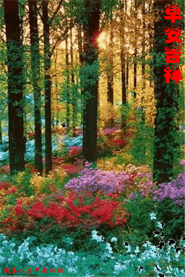 500_747 竖版 竖屏