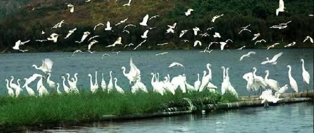 半价、免票!今天内江及川内各大景点送出女性福利,恭迎女神们驾到!