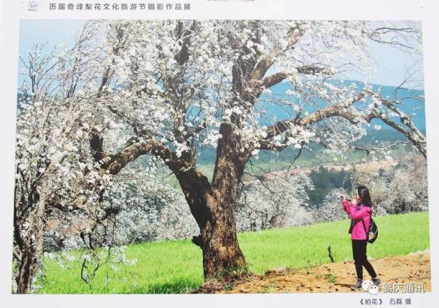 摄影作品以不同的角度,不同的手法真实记录了梨花村的民俗风情和人与