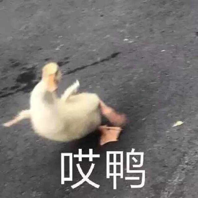 今年最沙雕的网购产品出现了,都有毒哈哈哈哈哈