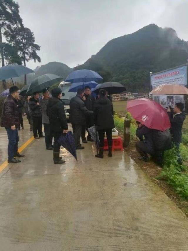 柳州市委书记郑俊康顶风冒雨到融安县桥板乡田螺养殖基地视察工作