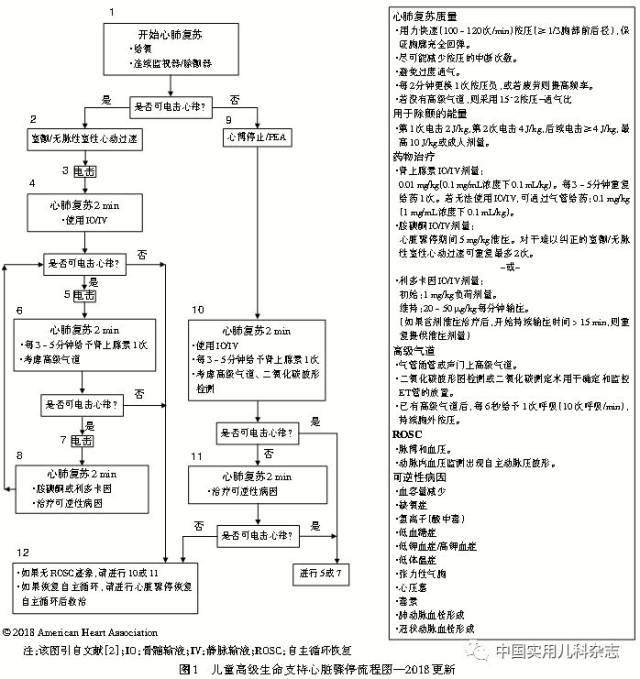 指南解读│《2018美国心脏协会心肺复苏及心血管急救指南更新——儿童