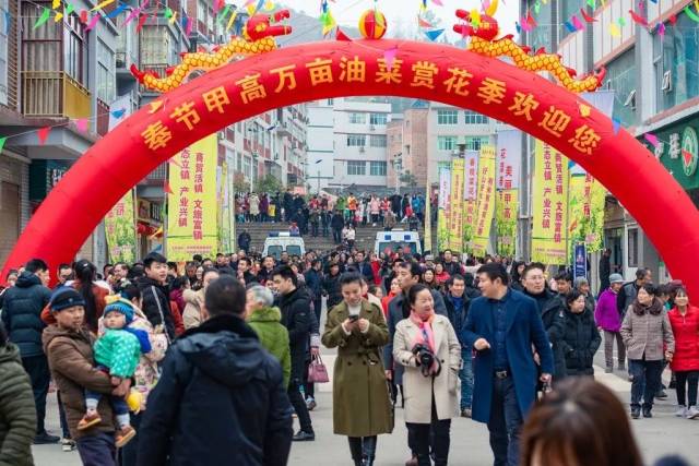 观众们积极踊跃的参加 通过有奖问答环节 许多游客对奉节甲高镇又有了