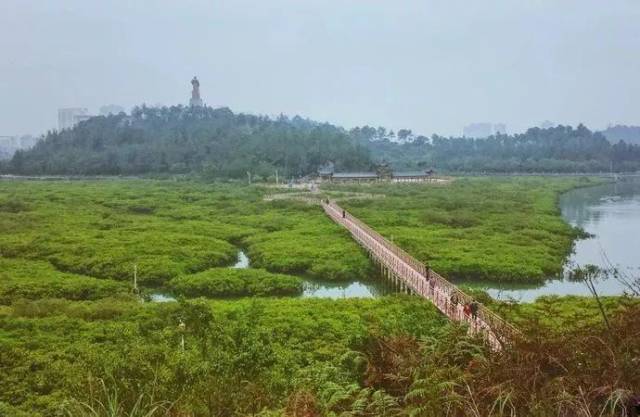 钦州仙岛公园,因形似一只缓缓爬向海面的乌龟被称为"龟岛",登岛远眺