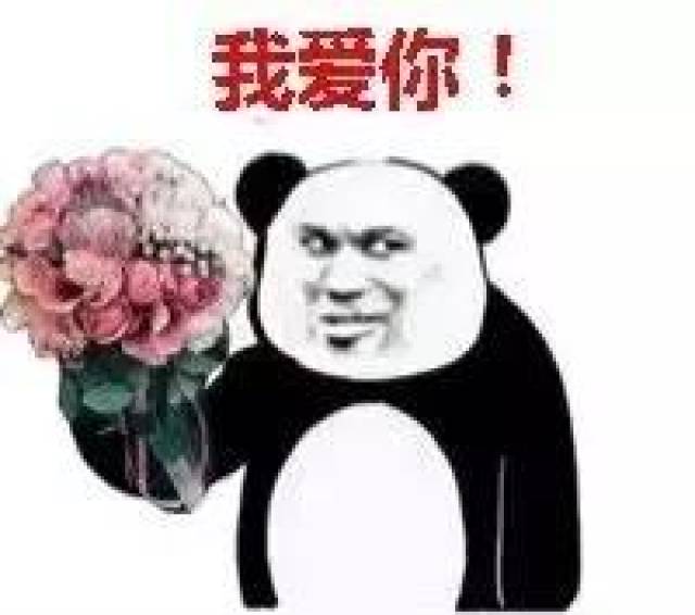 熊猫头表情包:妇女节快乐