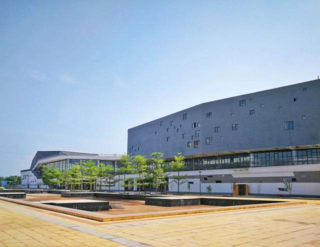 【广西专题】广西南宁技师学院:靠什么办成万人大校