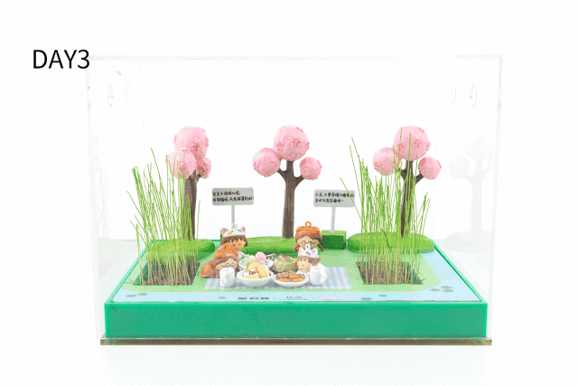 30秒销售破100万,植观是如何做到的?