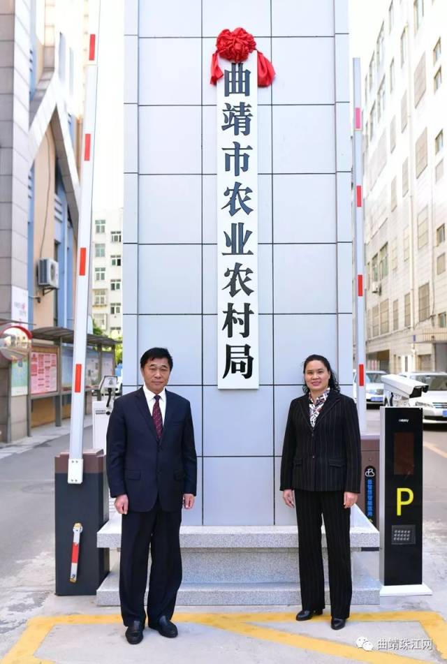 新部门亮相 | 曲靖市级机构改革首批单位挂牌成立,看看都有哪些