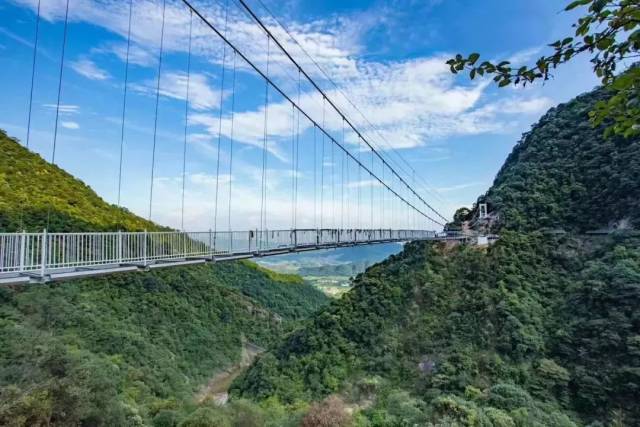 醉山野景区