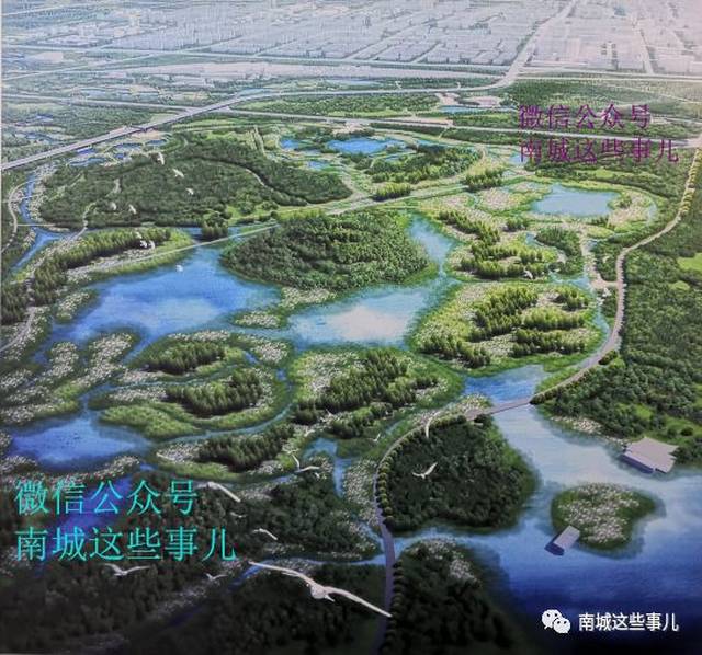 北京南苑森林湿地公园最新规划曝光-郑州网站建设