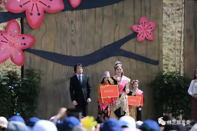 2019林芝桃花仙子征集令已发布,米林急需多名仙女!