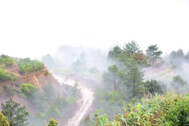 据全国天气网可知,潮州地区将于后天(3月