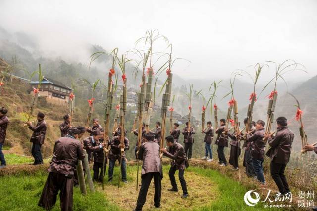 村民在"燕子节"上吹奏芦笙.(吴德军 摄)