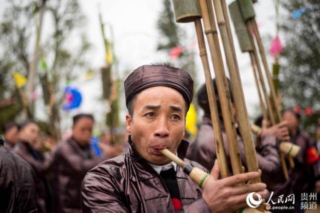 加当两个苗族村寨传统节日"燕子节",苗族同胞举行吹芦笙,跳芦笙舞,踩