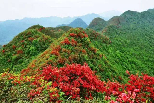 赣县宝莲山