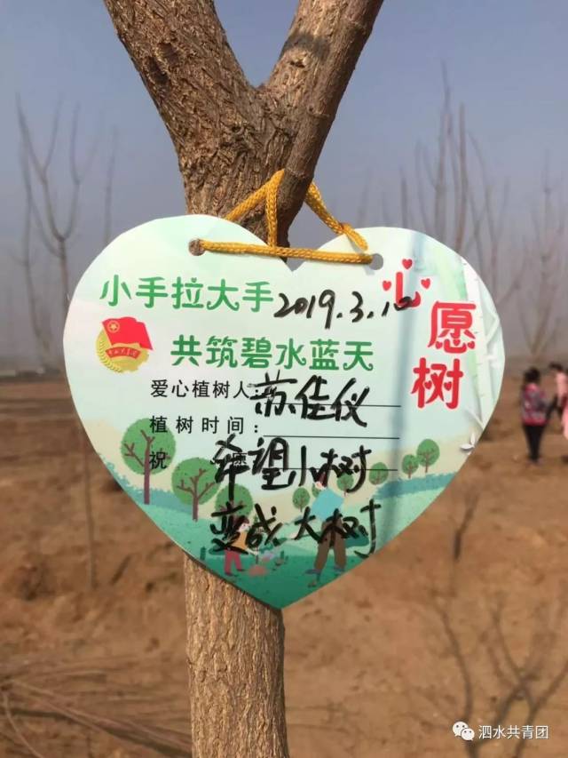 小手拉大手|植树节团县委组织开展"弘扬雷锋精神 植绿