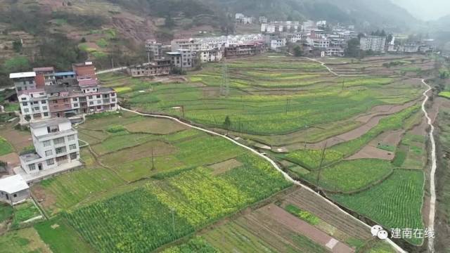 建南镇建新村油菜花海,航拍视频与照片来袭!